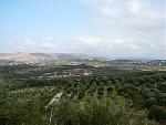 Klicke auf die Grafik fr eine grere Ansicht

Name:	Kreta, Kissamos 30.08.-13.09.2008 (63).jpg
Hits:	425
Gre:	114,7 KB
ID:	20907