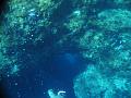 Klicke auf die Grafik fr eine grere Ansicht

Name:	2008.06.18 Kreta Plakias Unterwasser 124.jpg
Hits:	396
Gre:	84,5 KB
ID:	69636