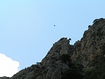 Klicke auf die Grafik fr eine grere Ansicht

Name:	Kreta Juni 2005 047.jpg
Hits:	645
Gre:	157,6 KB
ID:	86787
